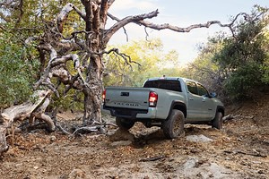 Skip the TRD: The Toyota Trail Edition Is the Best Deal in Off-Road Tacomas