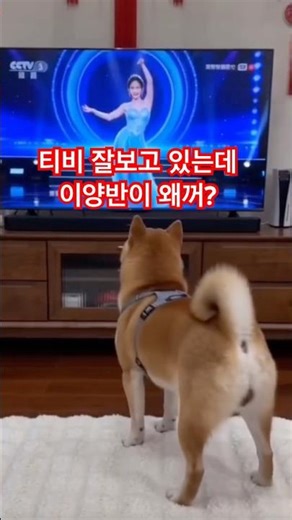 I was watching TV just fine, why did you turn it off???