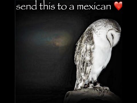 The Lost Front Script | Creeping Pear Edit | Pear 🍐 [SAFE & UD]