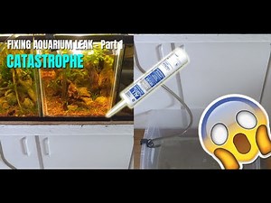How to Fix Aquarium Leak Tutorial - Leaking Aquarium Part 1