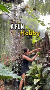 Gardening is supposed to be a fun hobby, not a stress fest 😊 It's about digging in the dirt, watching plants grow, and enjoying the chill vibes. Happy Gardening! 💚🌿🪴 #plantgirlph #plantsmakepeoplehappy #plants | PlantGirl PH