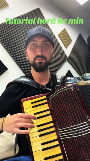 Tutorial horă Re min ! #hora #hohner TikTok