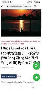 I Once Loved You Like A Fool我曾像傻子一样爱你(Wo Ceng Xiang Sha Zi Yi Yang Ai Ni) By Ren Xia任夏