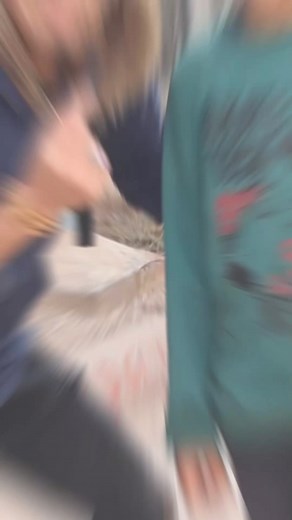 728K views · 10K reactions | #englishcourse #englishlife...