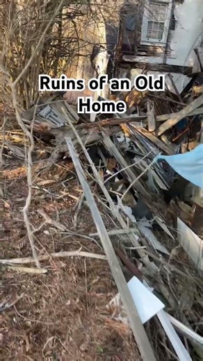 House destroyed by the wind #fyp #abandoned #treefall #explore #scary