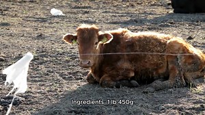 how to make beef tacos