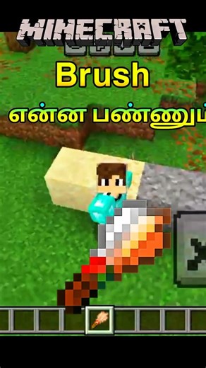 Minecraft Brush Secret Use 😲