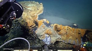 Jacuzzi of Despair! E/V Nautilus glides through toxic brine pool