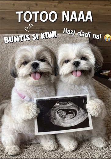 Ang Aming Kwento: Ligawan at Pagtanggap kay Kiwi