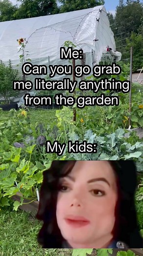 1.5K views · 15 reactions | They’re lucky they’re cute #gardener #gardening #homesteading #growingfood | The Superior Gardener | Facebook