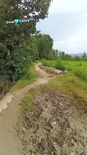 Beautiful Swat Valley Khyber Pakhtunkhwa 💚 🇵🇰 | Swat Valley