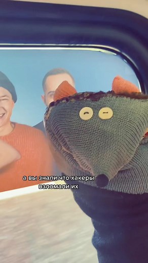 Charming Hand Puppet Hedgehog Animation