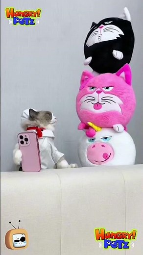 Hungry Pets Gone Crazy!|Hangry Petz|Chotoonz TV#shorts #funnycartoon #comedy #liveaction #slapstick