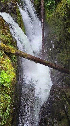 The Amazing Sol Duc Falls in Olympic National Park