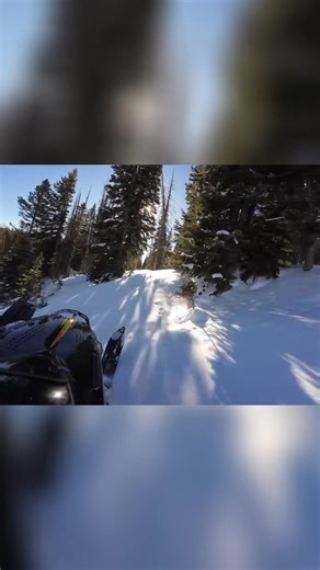 These snowmobilers were shredding it... then, BAM! Wipeout! Now everyone's wondering if the rider's okay. Talk about a wild ride! #Snowmobile #Fail #WinterSports #EpicFail #Snowmobiling | Snowmobile