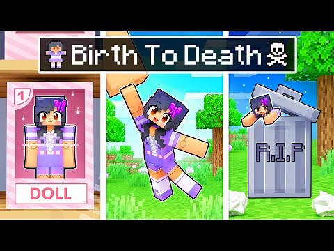 The BIRTH To DEATH of a DOLL in Minecraft!