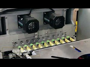 Electric Injection Heading Machine for Mini Tubes RIH-100-10