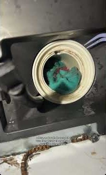 How to clean a washer filter 🤪 #cleaning #diy