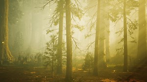 Fantasy firefly lights in the magical forest