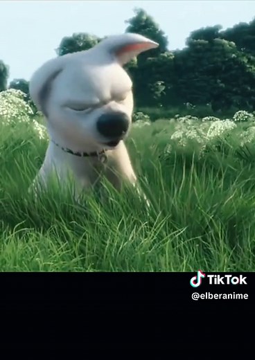 AnimadoForever no TikTok