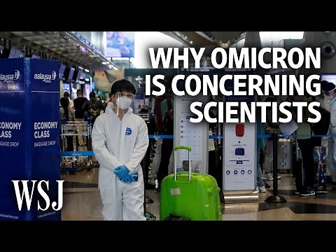 Why the Omicron Variant Is Concerning Scientists | WSJ