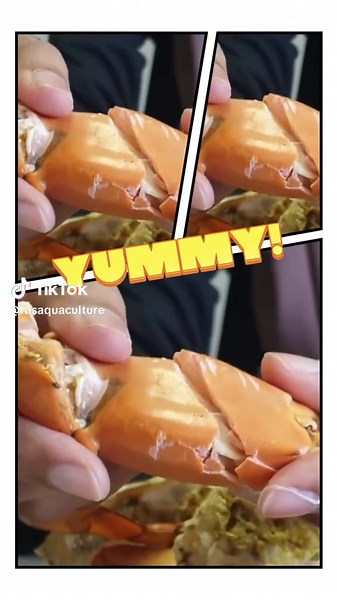 RAS Aquaculture (@rasaquaculture)’s videos with original sound - RAS Aquaculture