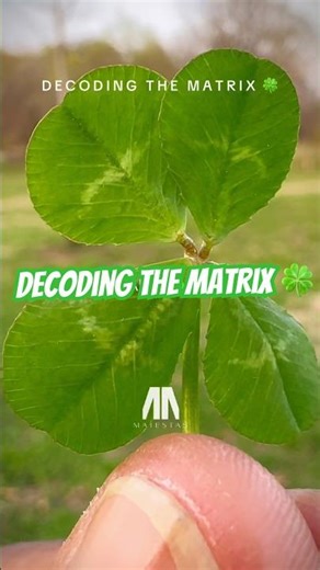 Decoding the 3D Matrix 🍀