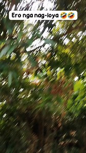 44K views · 2.1K reactions | Veterinarian 藍藍藍 #reels #reelsviral #reelsvideo | Mabini Vines | Facebook