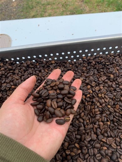 Mislabeled: Hawaii woman arrested for Kona Coffee scam