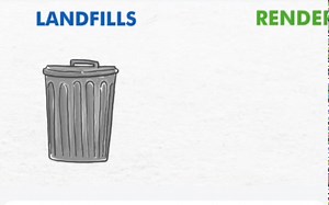 Rendering is about creating maximum value from animal by-products....