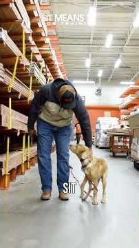 A Home Depot Dog Training Lesson with Ruger | Sit Means Sit Dog Training Corona California
