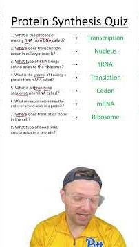 Quiz: Protein Synthesis #biology #stem #learning #Science #genetics