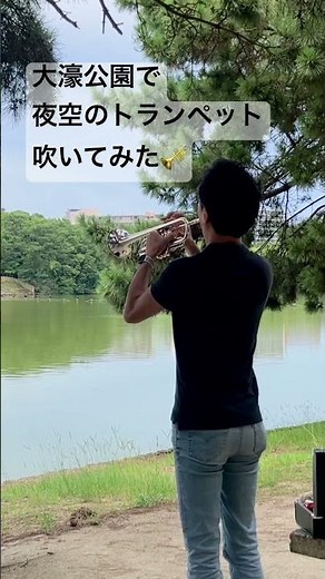 夜空のトランペット ニニ ロッソ Il silenzio Nini Rosso #トランペット #trumpet #トランペットソロ #吹奏楽