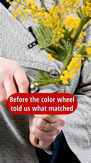 155K views · 8.9K reactions | How did we find Harmony Before We Had...