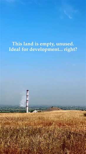 Tanya Drolia on Instagram: "Open lands and native grasslands are often dismissed as empty, undeveloped spaces. This is a dangerous mistake. These open lands are vital, high-biodiversity ecosystems that support countless native and migratory species. Treating them as wastelands for easy development is an ecological blind spot. We must pause and recognize the invaluable life we destroy before paving over these essential habitats. #grassland #savanna #biodiversity #protectnature #wildlifehabitat #c