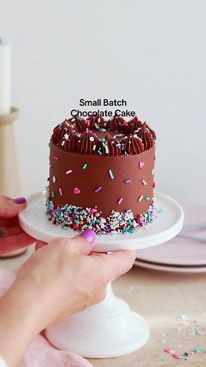 MINI CHOCOLATE CAKE 🍫🥳 this little cutie serves 2-4 which is the perfect size for date night, a small birthday party, a smash cake, to satisfy your chocolate craving, or to brighten someone’s day! You can bake it as a mini layer cake OR as a single 6-inch cake layer. AND it’s adapted from my favorite one-bowl chocolate cake recipe so it’s everything you could want in a chocolate cake – rich and moist, fudgy stick-to-your-fork crumb, and EASY to throw together 🤎⁣ ⁣ FULL RECIPE with chocolate f