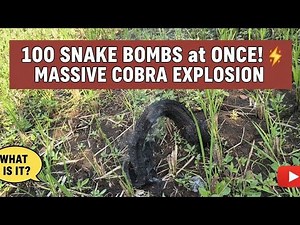 100 SNAKE BOMBS at ONCE! 💥 MASSIVE COBRA EXPLOSION