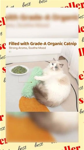 Interactive Catnip Plush Pillow Toy