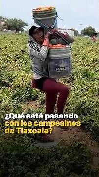 What is happening with the farmers in Tlaxcala?