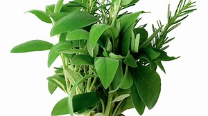 "Magazinele de vise" inmultesc pacientii din spitale