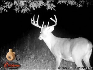 16K views · 28 reactions | Iowa scrapes are going wild!! | ScrapeFix | Facebook