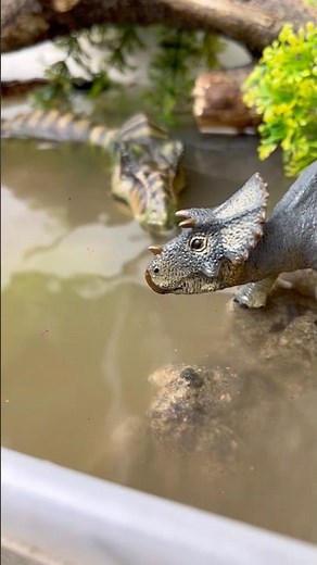 Nanmu Tyrannosaurus and Rebor titanoboa & triceratops dinosaur figure toy photography bts #dinosaur