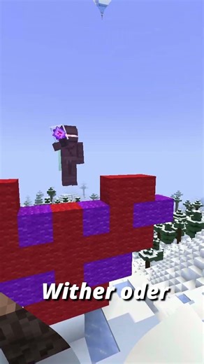 Heist der Witherstar oder Netherstar? #shorts