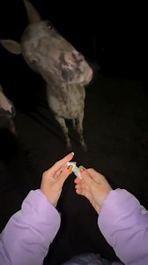 16K views · 114 reactions | Is she putting glue in his eyes?” That’s...