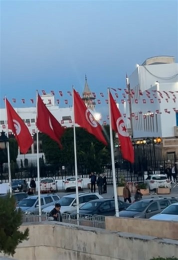 Tunis Fan's Passionate Chant