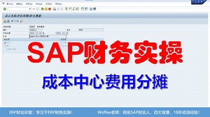 SAP软件 成本中心费用分摊
