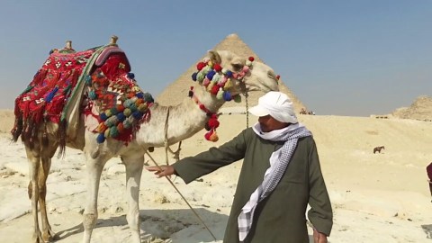 Best Things To Do in Cairo Egypt 2025 4K