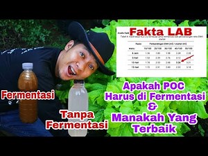 Bagus mana ?? Ini Faktanya!!! Pupuk Fermentasi VS Non Fermentasi