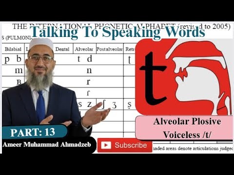 Alveolar | Plosive | Sound of Alveolar Plosive Voiceless /t/ | Part 13 | voiceless Alveolar Plosive.