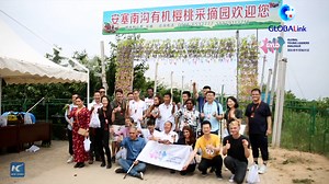 6K views · 350 reactions | In their fifth stop, the Young Global Leaders Dialogue (#GYLD) @YoungDialogue members are invited to visit northwest China's Shaanxi Province to explore the Yan'an spirit and have a closer look into the history of the #CPC #GLOBALink | China Xinhua News | Facebook